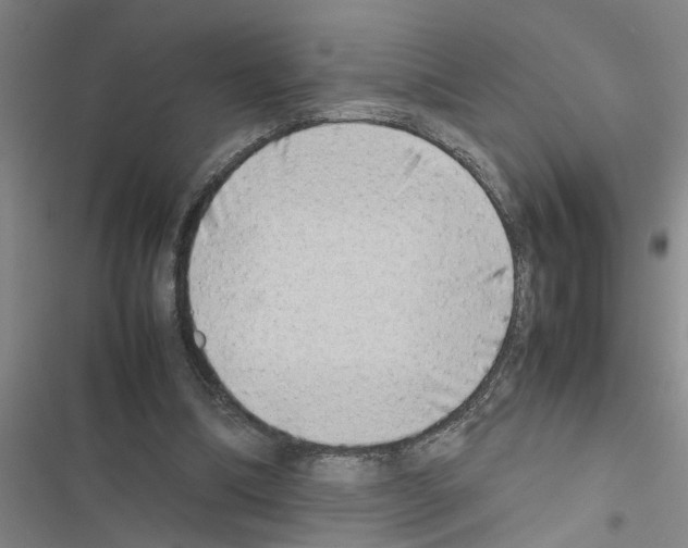 X0000116420298201001191455