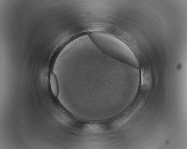 X0000116420300201001191455