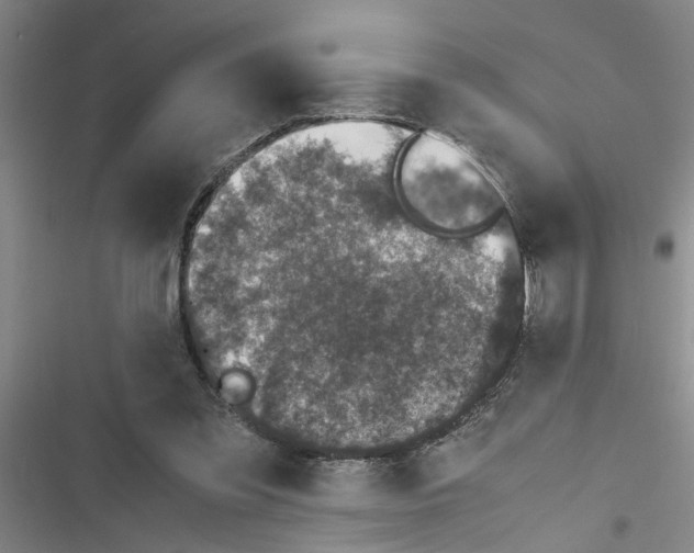 X0000116420301201001191455