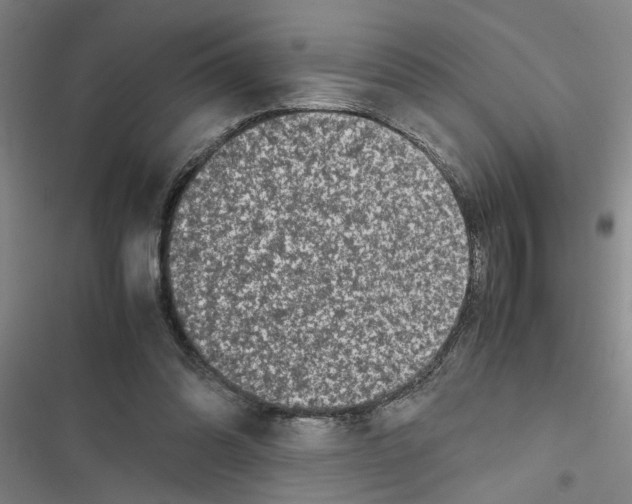 X0000116420302201001191455