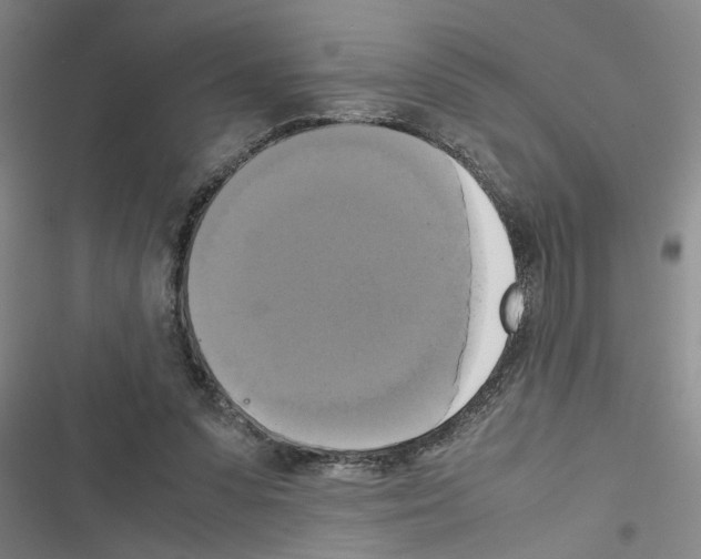 X0000116420303201001191455