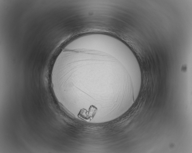 X0000116420304201001191455