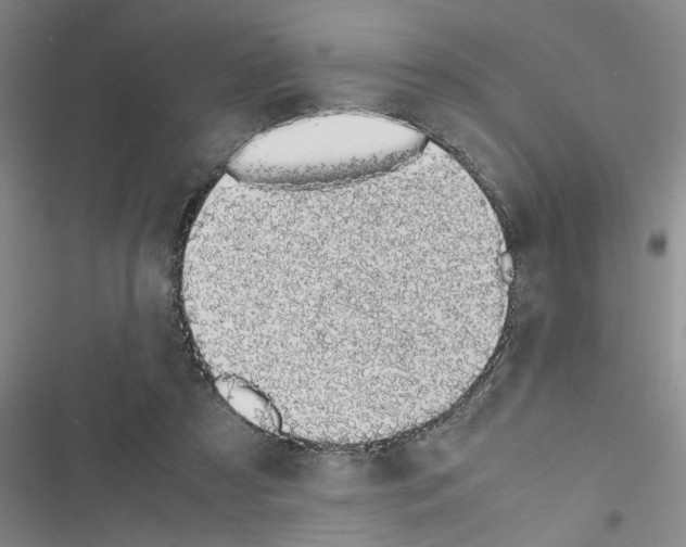 X0000116420305201001191455