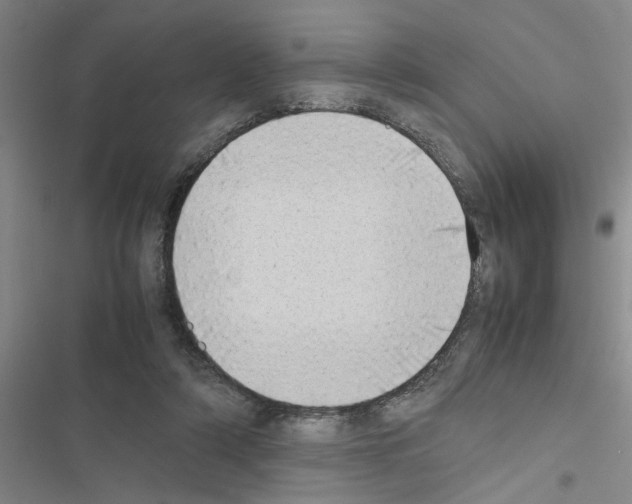 X0000116420306201001191455
