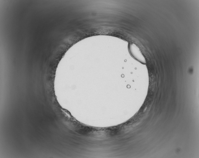 X0000116420307201001191455