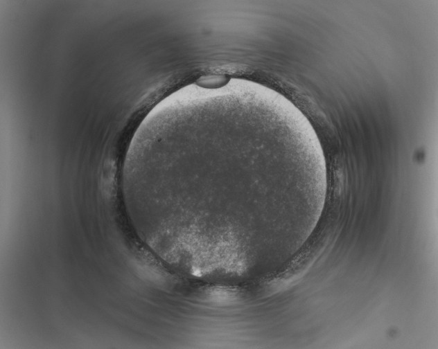 X0000116420308201001191455
