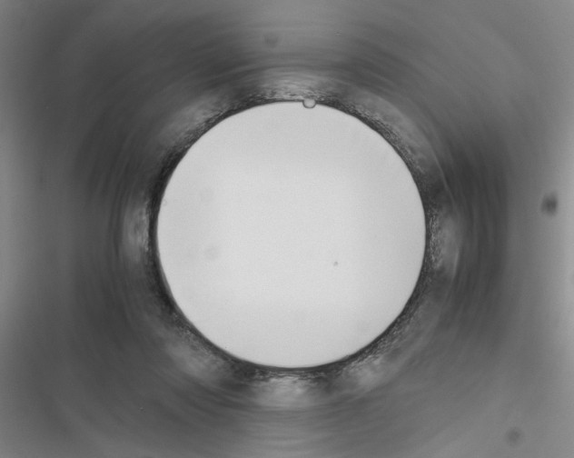 X0000116420310201001191455
