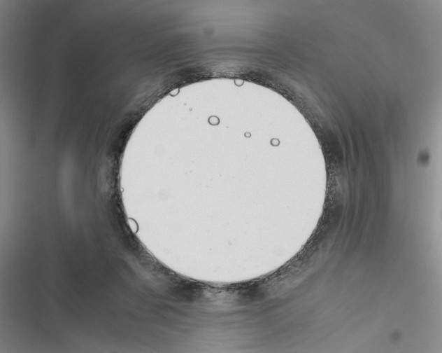 X0000116420311201001191455
