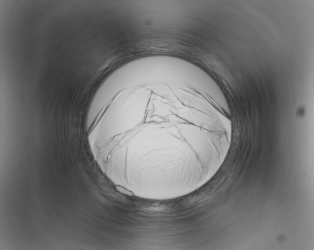 X0000116420312201001191455
