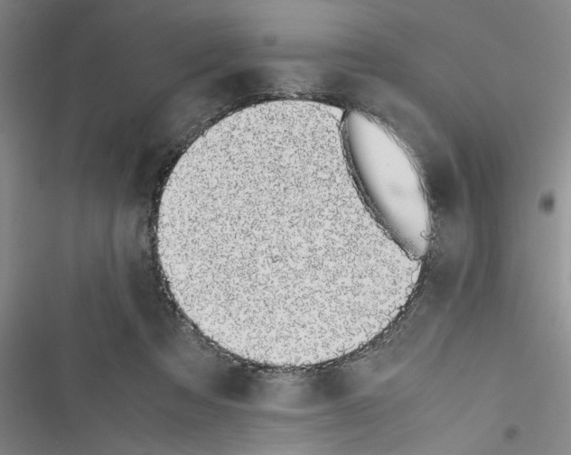 X0000116420313201001191455