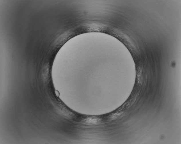 X0000116420314201001191455