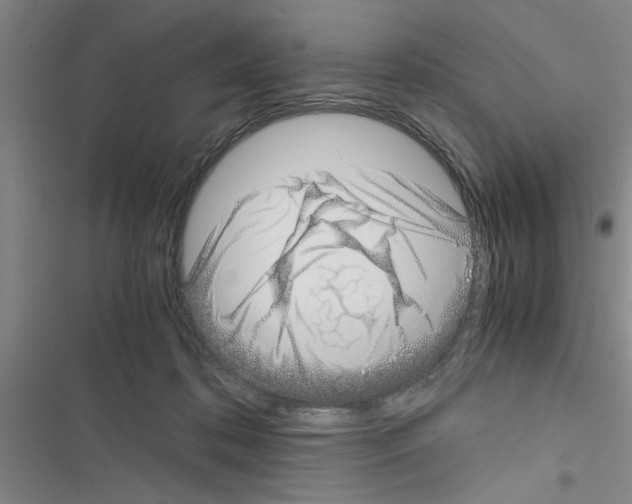 X0000116420316201001191455