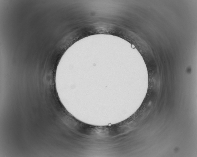 X0000116420317201001191455