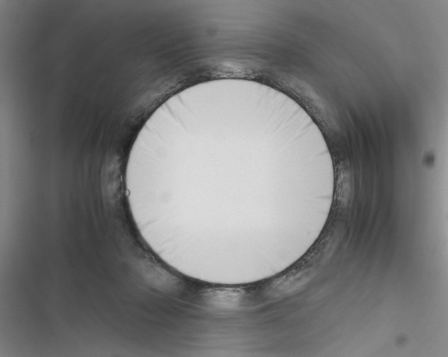X0000116420318201001191455