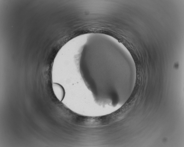 X0000116420319201001191455