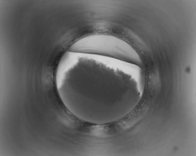 X0000116420320201001191455