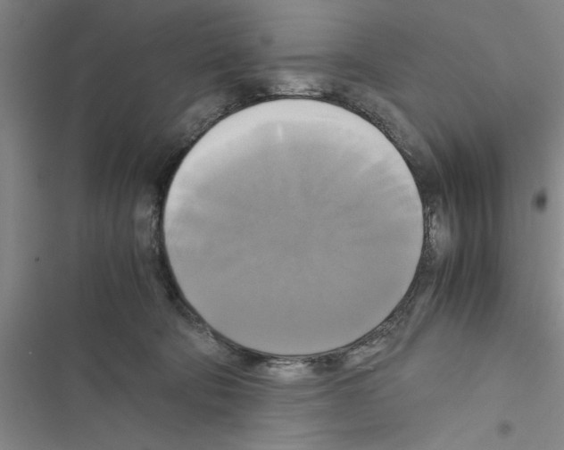 X0000116420322201001191455