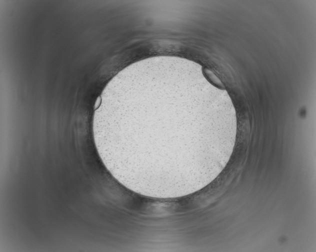 X0000116420323201001191455