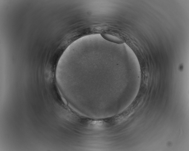 X0000116420324201001191455