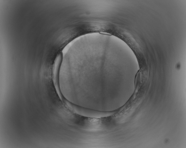 X0000116420325201001191455
