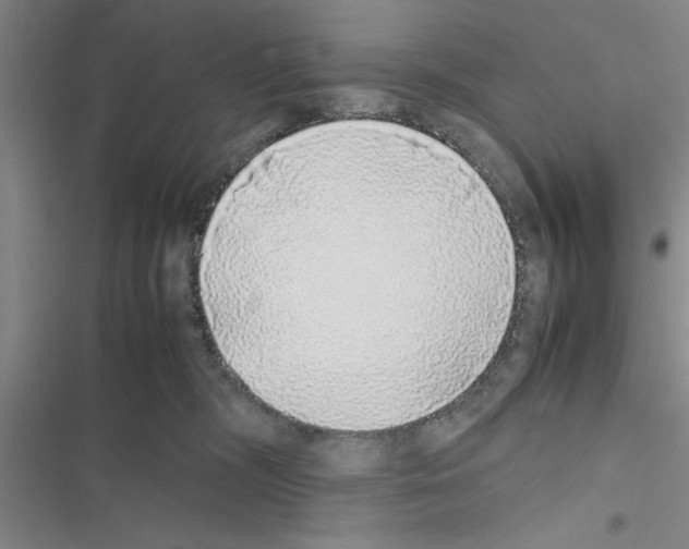 X0000116420326201001191455