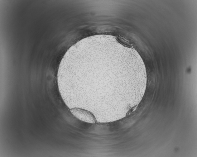 X0000116420327201001191455