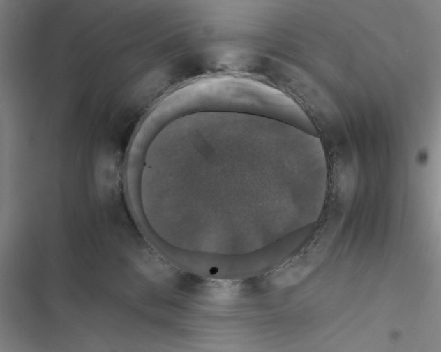 X0000116420328201001191455