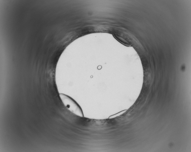 X0000116420329201001191455