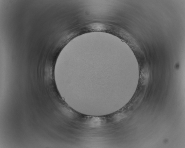 X0000116420330201001191455