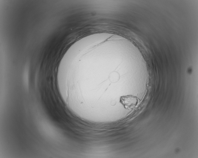 X0000116420333201001191455