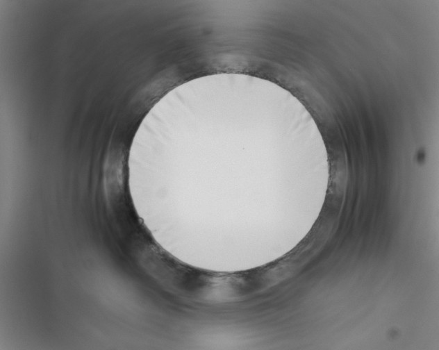 X0000116420334201001191455
