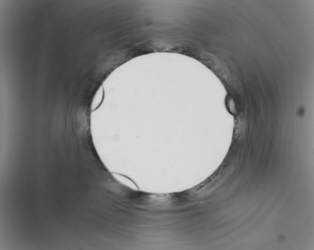 X0000116420335201001191455