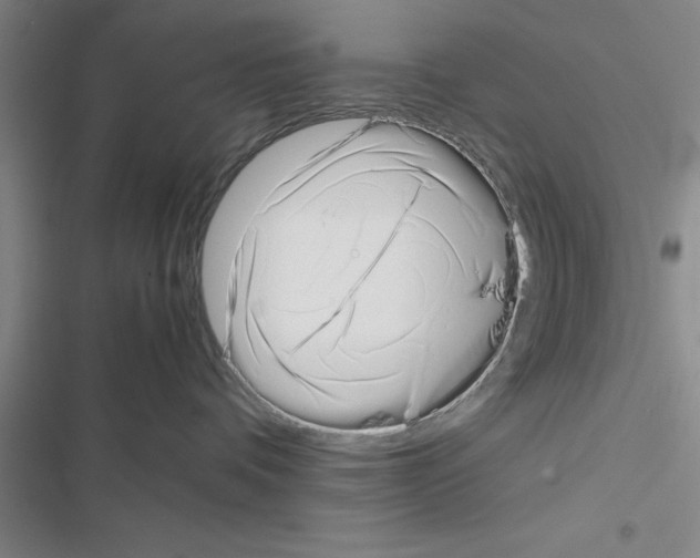 X0000116420336201001191455