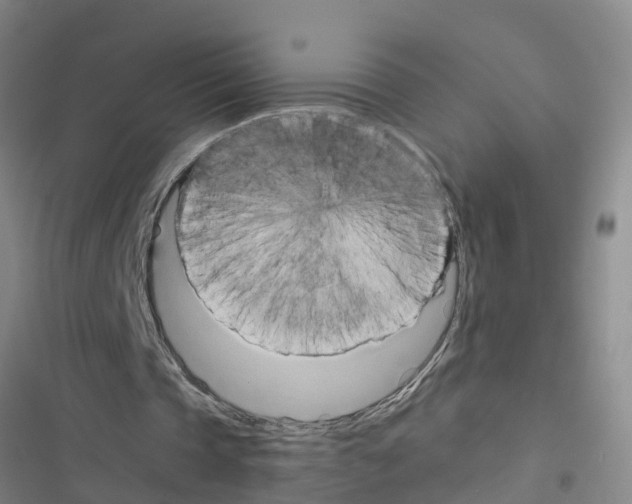 X0000116420337201001191454