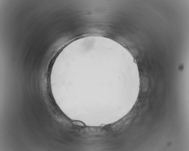 X0000116420338201001191454