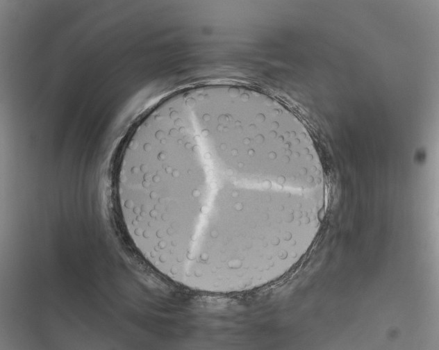 X0000116420339201001191454