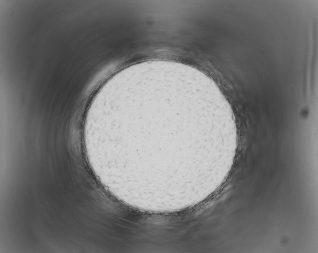 X0000116420341201001191454
