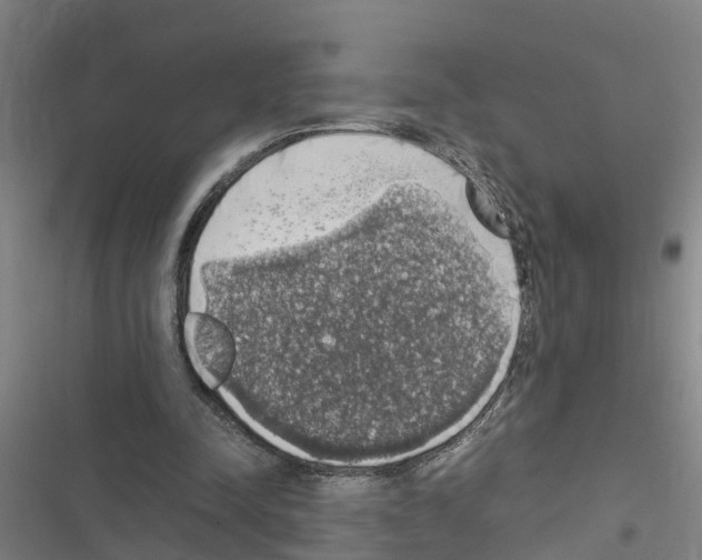 X0000116420342201001191454