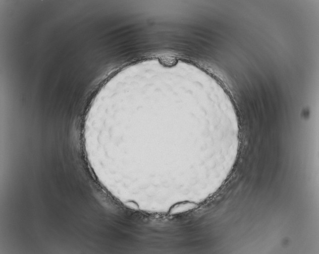 X0000116420345201001191454