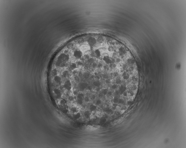 X0000116420346201001191454