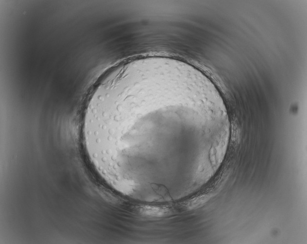 X0000116420347201001191454