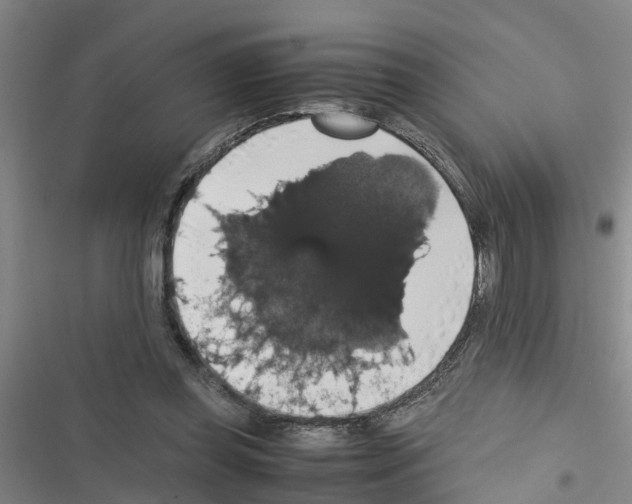 X0000116420349201001191454