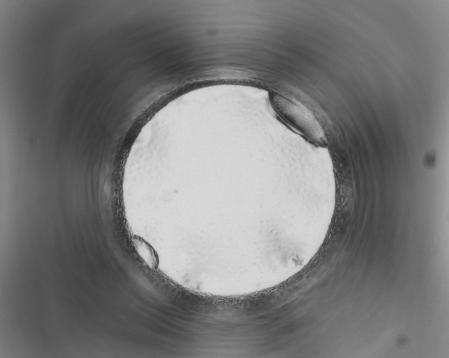 X0000116420350201001191454
