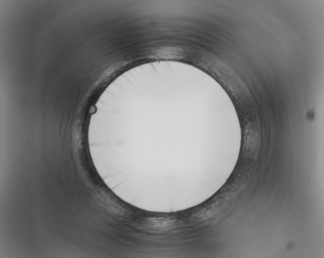 X0000116420351201001191454