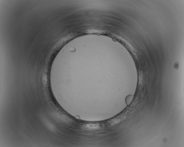X0000116420353201001191455