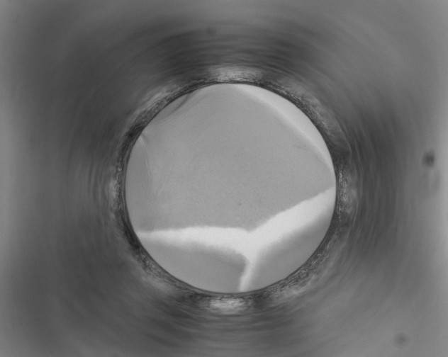 X0000116420357201001191455