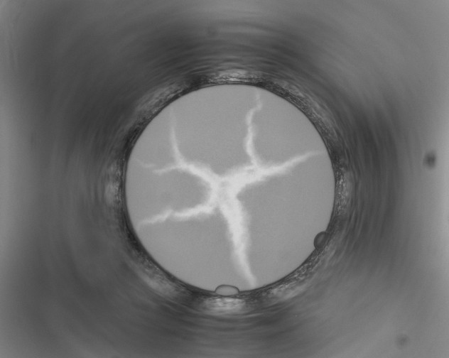 X0000116420361201001191455