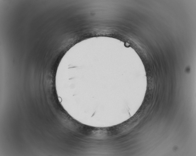 X0000116420362201001191455
