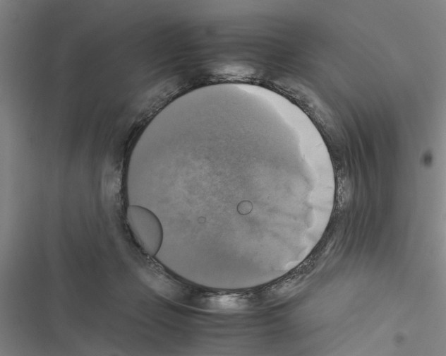 X0000116420365201001191455