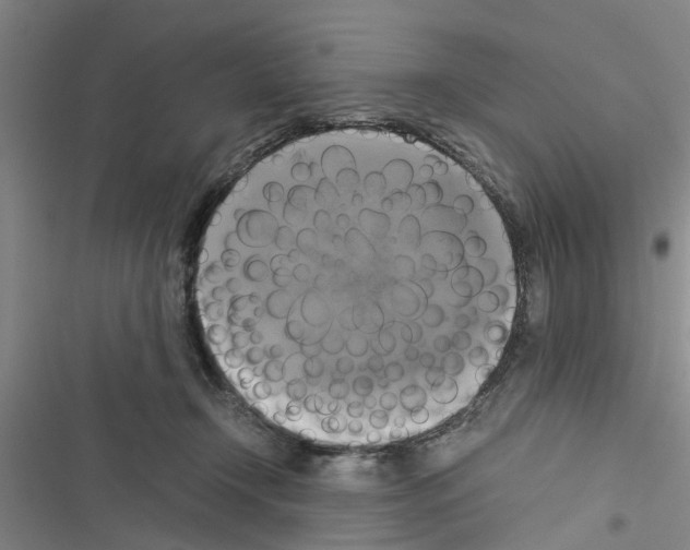 X0000116420366201001191455